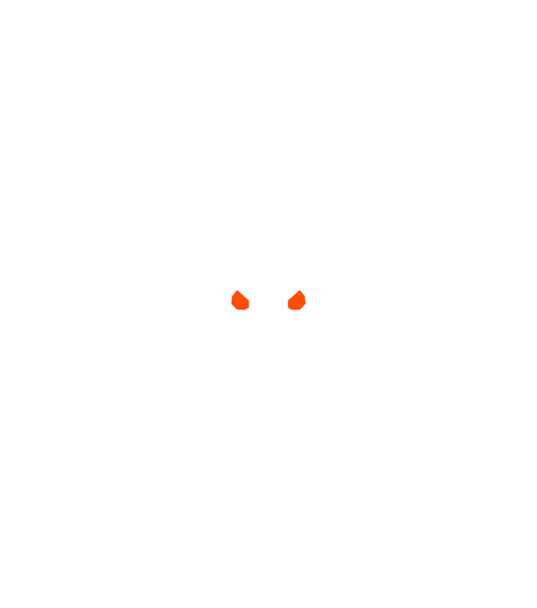 the owl logo icon